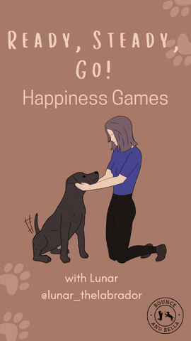BounceandBella giphyupload dog treats dog games games for dogs GIF