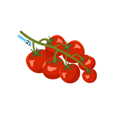 Cherry Tomato Eating Sticker by Israel21c