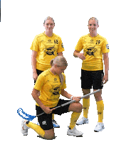 Floorball Salibandy Sticker by F-liiga