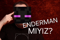 Minecraft GIF