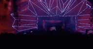 turn up dancing GIF by Hardwell