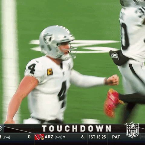 Happy Regular Season GIF by NFL