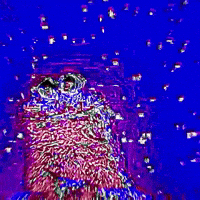 Cookie Monster Glitch Art GIF by Ø$iⱤ!$