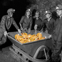 T-Bell Tacos GIF by Taco Bell