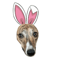 Minnie Mouse Dog Sticker by Macattack