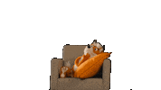 Happy Fox Sticker by Verivox