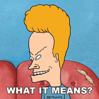 What Does It Mean Beavis And Butthead GIF by Paramount+