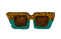 Sunglasses Bouncing Sticker by Function of Beauty