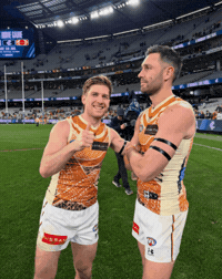 Hawthorn Hawks Afl GIF