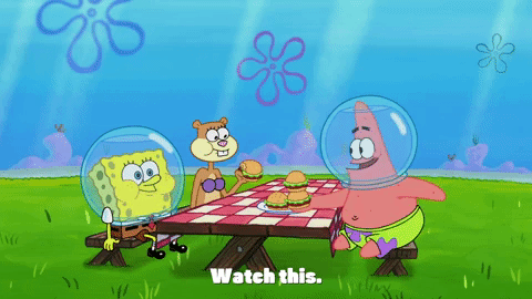 season 9 episode 23 GIF by SpongeBob SquarePants