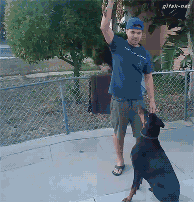 smooth GIF