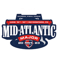 Paint Snake Sticker by valken