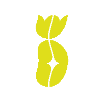 themessagemagazine yellow pineapple ananas the message Sticker