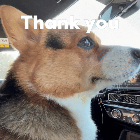 Dog Thank You GIF