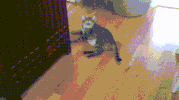 GIF by Demic