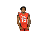 Utah Utes Sticker by Utah Football