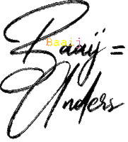 Baaij Sticker by Schildersbedrijfbaaij