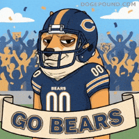 Tired Chicago Bears GIF by Doge Pound