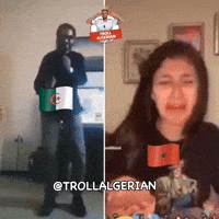 Algeria Dz GIF