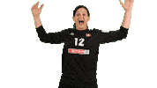 Hand Handball Sticker by EHF