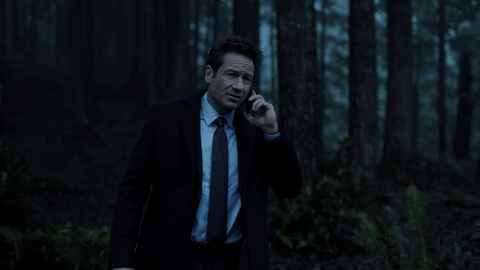 the x-files scully GIF by Fox TV