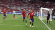 euro 2016 victory GIF by Sporza