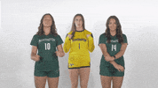 Huntington University GIF by FDN Sports