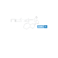 netzint komminsteam itsystemhaus netzint gütenbach Sticker