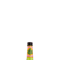 Prost Sticker by Sandra International