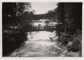 water river GIF by Kathryn A. Martin Library