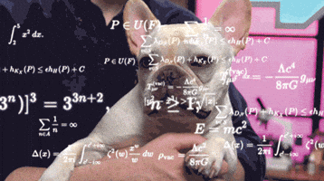 Bulldog GIF