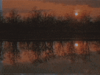 vintage water GIF by rotomangler