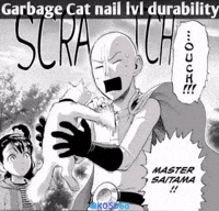 Dragon Ball Z Cat GIF