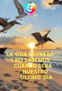 Mar La Vida GIF by Murcianys LLC
