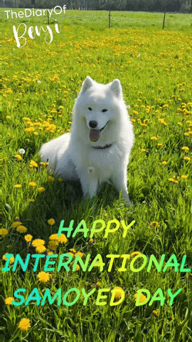Cloud Benji GIF