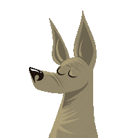 tijuana tj Sticker by Xolos