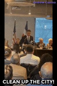 New York Vote GIF by Andrew Cuomo