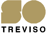 Fashion Logo Sticker by SO Treviso