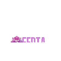 Promo Promocao Sticker by Soneda Perfumaria