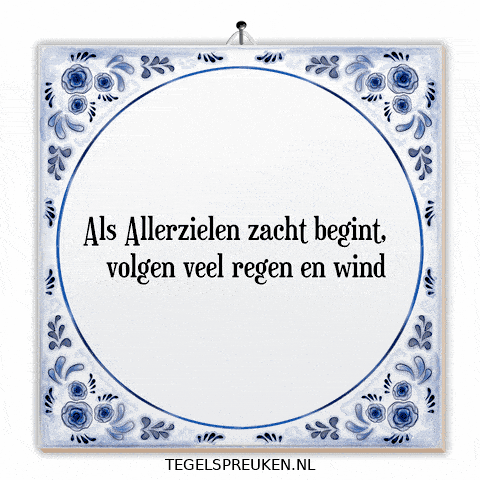 Wind Nl GIF by Tegelspreuken.nl