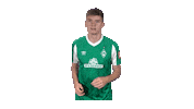 Bundesliga Nick Sticker by SV Werder Bremen
