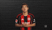 Eintracht Frankfurt GIF by Bundesliga