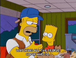 homer simpson GIF