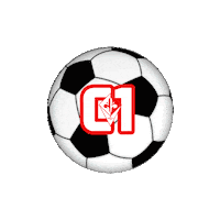 Firenzec5 firenzec5 firenzecalcioa5 delfirenzevantoegloria conilgigliosulpetto Sticker