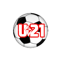 Conilgigliosulpetto Sticker by FirenzeC5