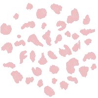 Rose Effects Sticker by Fidella