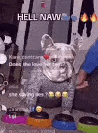 Hell Naw GIF