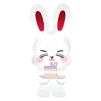세븐틴 Carat Sticker