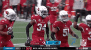 Arizona Cardinals Football GIF by NFL