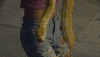 Snake